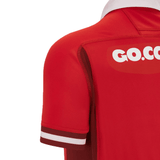 The back of a Macron Wales Rugby Union 23/24 Home Jersey with the word go on it.