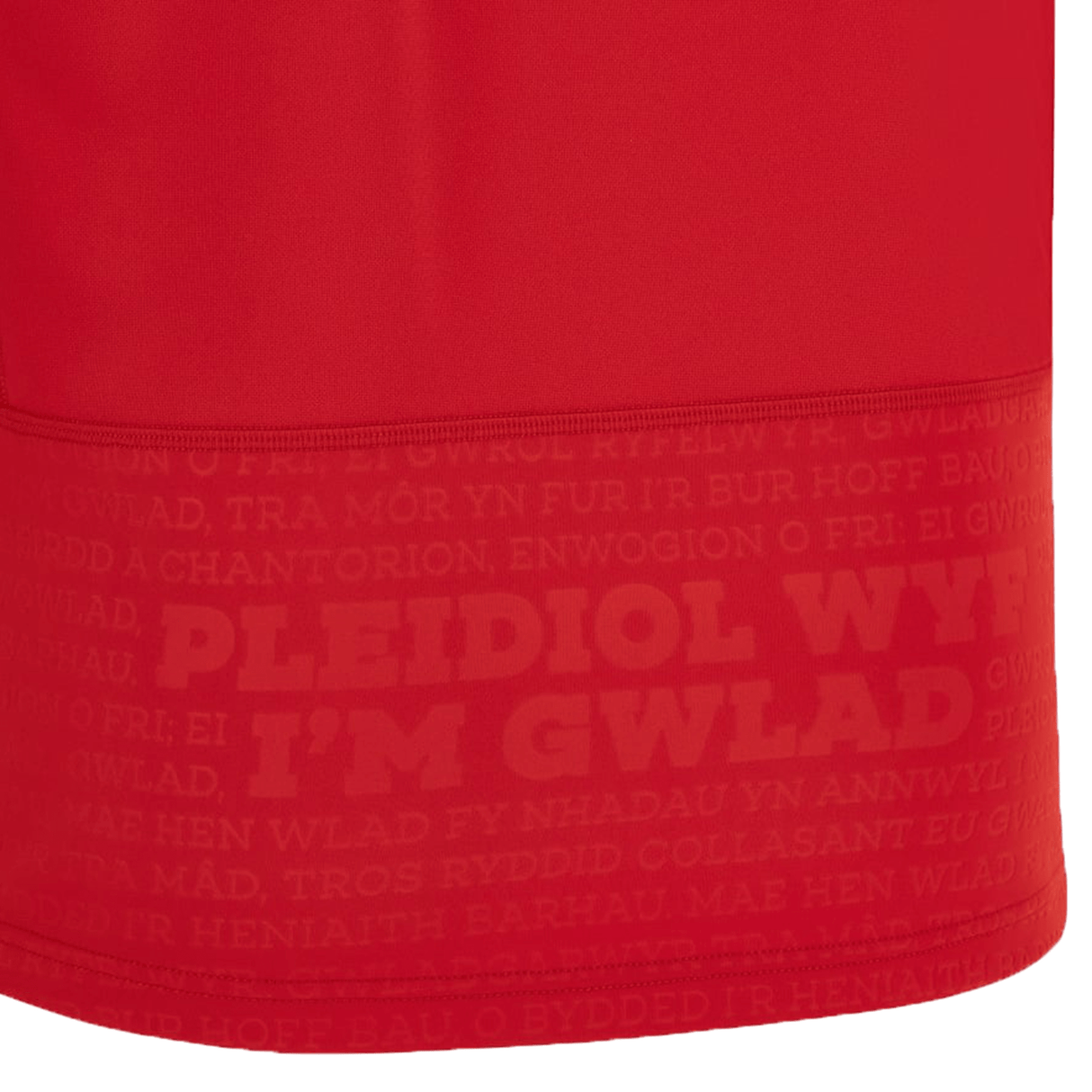 A Macron Wales Rugby Union 23/24 Home Jersey with the words,'i'm gwlad'on it.