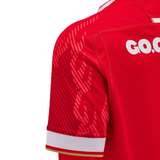 Close-up of a red sports jersey featuring "GO.COM" on the back, reminiscent of the Wales 6 Nations Replica Home Jersey 24/25 by Macron. The sleeve showcases a subtle geometric design with white and gold trim, embodying the style of this Macron masterpiece.