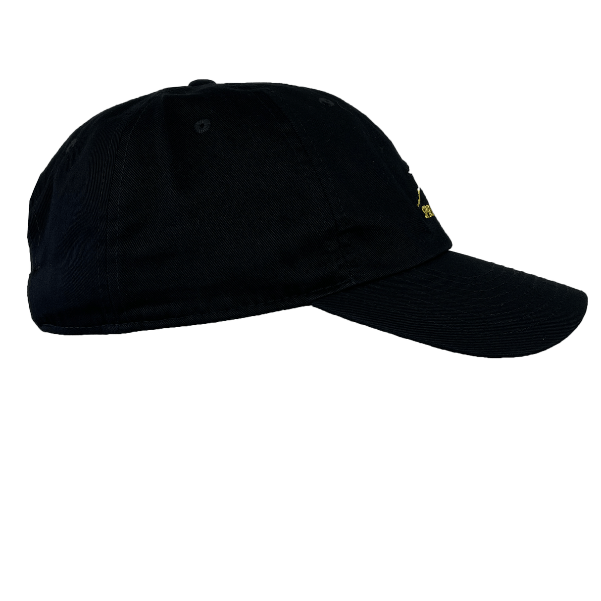 A plain black **Springboks Unisex Unity H86 Cap by Nike** with a curved brim and six-panel construction, viewed from the side.