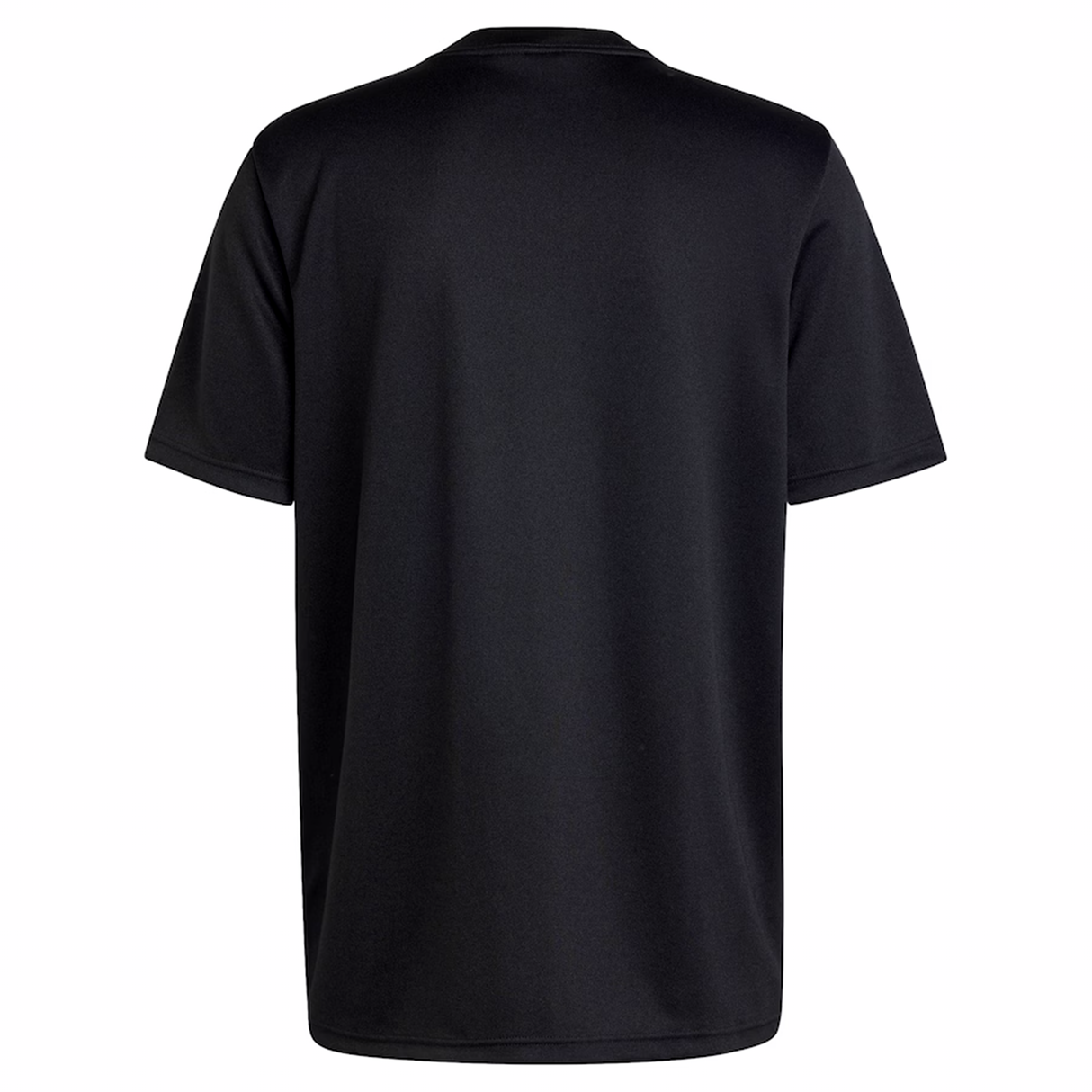 The All Blacks 24/25 Supporters T-Shirt by adidas is pictured from the back on a white background, showcasing its sleek design and homage to rugby legacy.