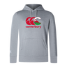 The WRS Canterbury Wales CCC Club Lightweight Hoodie is a gray polyester hoodie with a front logo in red and green, featuring a kangaroo and New Zealand mountain scene. This comfortable hoodie is perfect for any adventure.