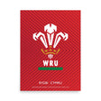 PF LIC's Wales 'RYGBI CYMRU' Logo Poster featuring Wales Rugby.