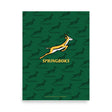 A green Springboks Silhouette Poster featuring the PF LIC.