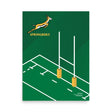 A Springboks Pitch Poster featuring the PF LIC on a rugby field.