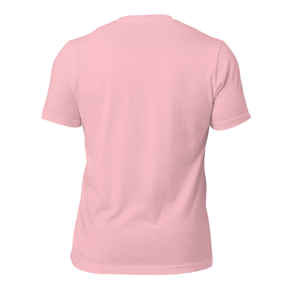 A light pink short-sleeve Rugby Japan Cotton T-shirt by PF LIC, photographed from the back.