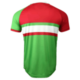 Back side of Wales round neck short sleeve jersey. Upper red back, right shoulder and sleeve, white round collar, and green left shoulder and sleeve trimmed in red. Green horizontal stripe across the upper chest with white stripe below and red stripe below the white. Green lower torso.  