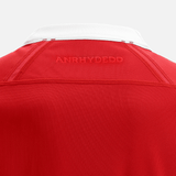 anrhydededd on back of wales rugby jersey